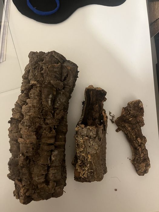 kora ozdoba do terrarium