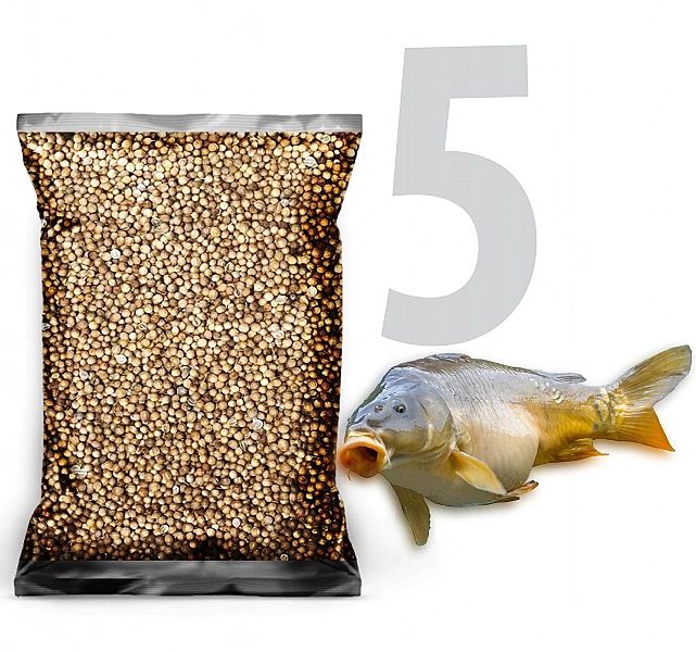 5kg Kolendra ziarno zanęta przynęta wędkarska karaś karp