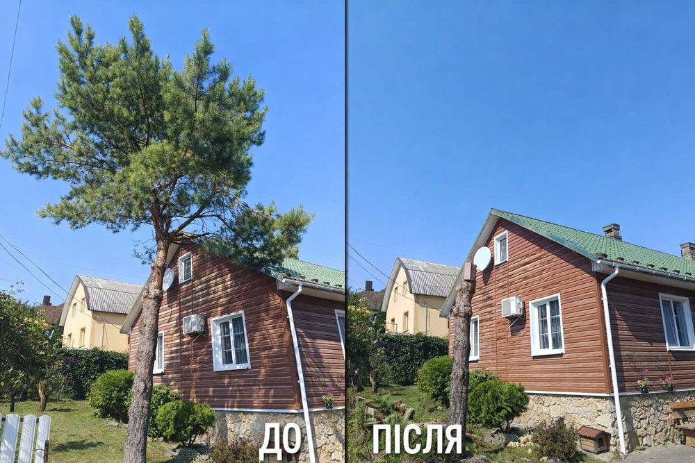 Зрізання дерев Рівне. Розчищення ділянок. Швидко та акуратно.