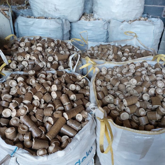 Brykiet z drzewa iglasto liściastego