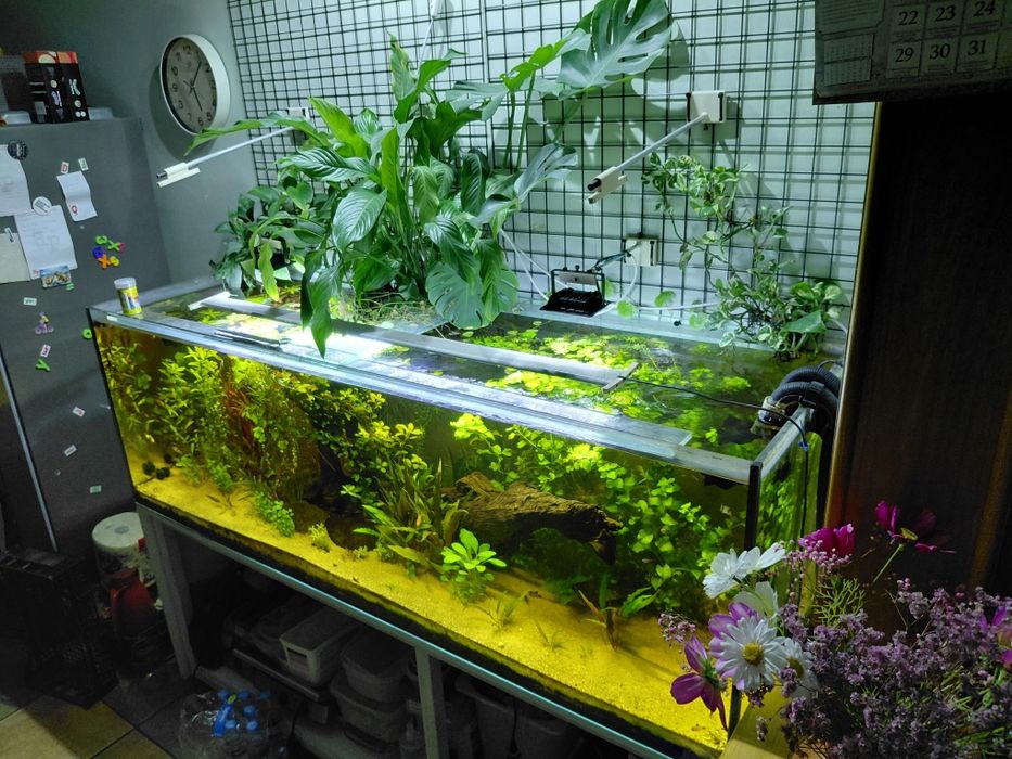 Akwarium  180x60x60 zestaw