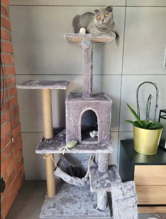 Drapak budka dla kota duży wysoki legowisko  drabinka słupek