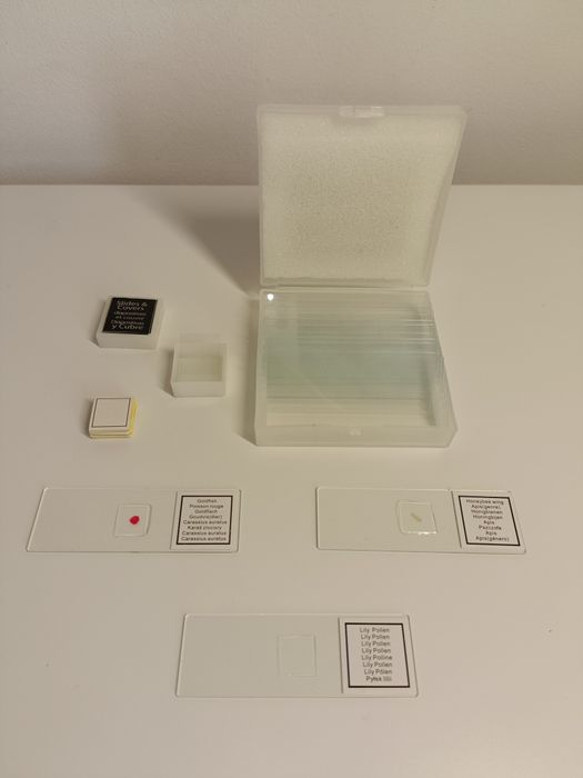 Microscópio de Visor Binocular - EduScience