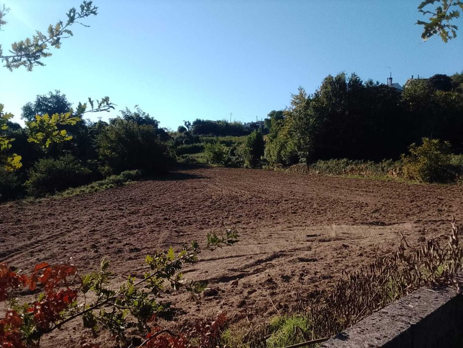 Terreno agricula