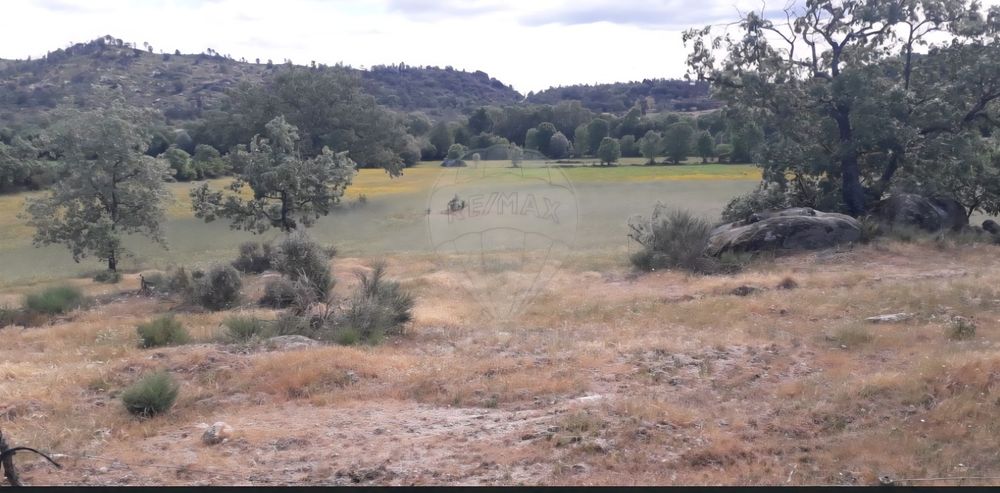 Oportunidade Única Quinta de Sonho com 14,5 Hectares na Histórica Vila