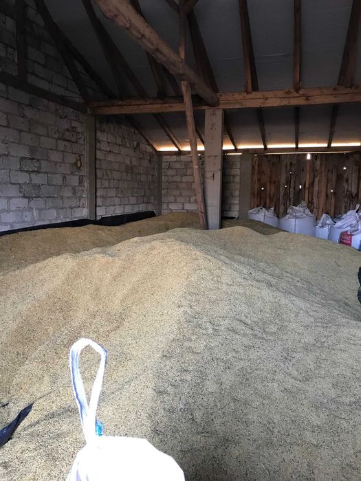 Sprzedam owies Bingo