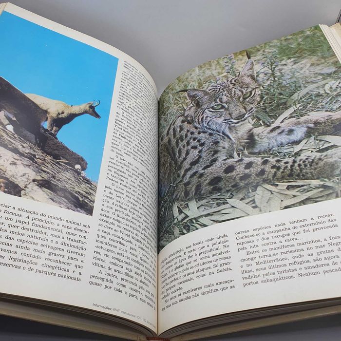 Livro - World Wildlife Fund - Animais Em Perigo - Ref.PAR7