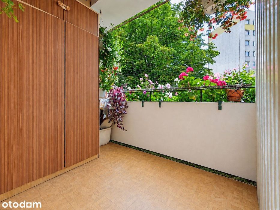4 Pokoje | 59M² | Loggia | Dwustronne| Blisko Centrum