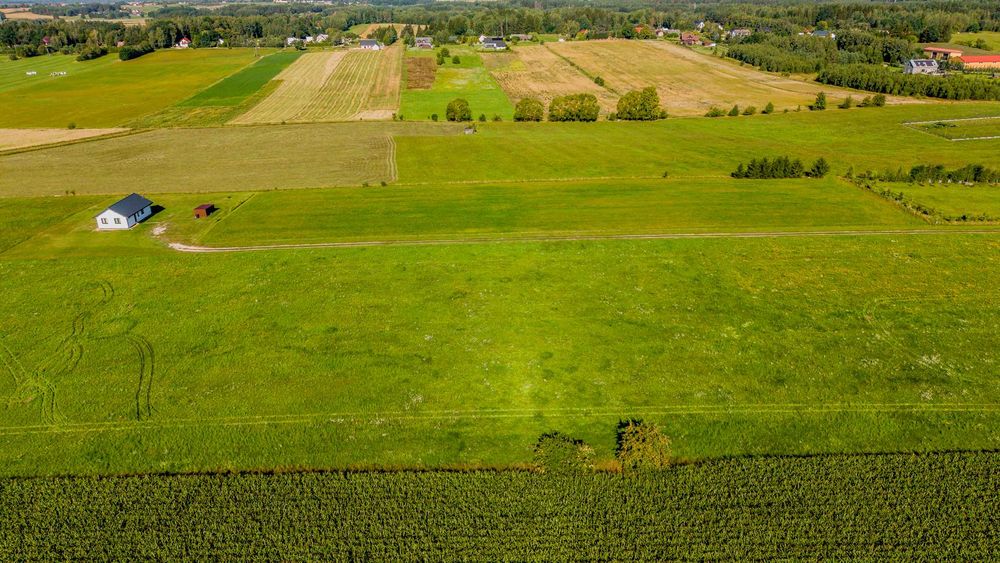 Działka 3 076 m² z WZ – Letniki, gm. Dobrzyniewo Duże - Więcej