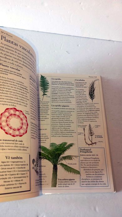 Dicionário escolar da Natureza