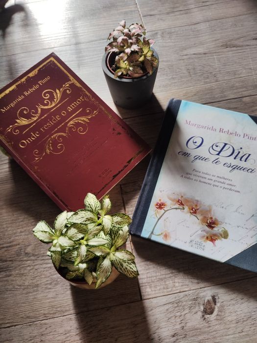 Livros Margarida Rebelo