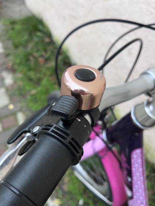 Велосипед дитячий Puky Skyride 20’ дюймів колеса