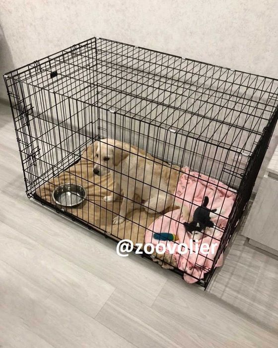 Клітка клетка, переноска домик место манеж для собак кошек щенка котят