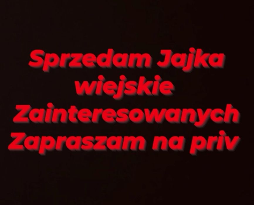 Jajka wiejskie,jajka wiejskie