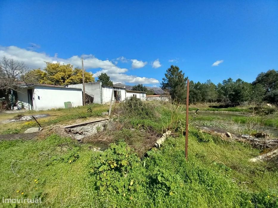 Quinta com 24750m2 Louriçal do campo