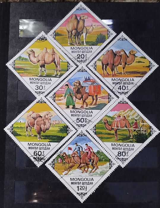 Znaczki Mongolia 1978 zwierzęta wielbłądy
