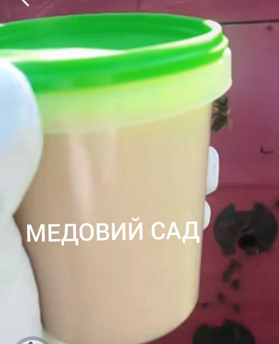 Трутневе молочко (гомогенат трутневих личинок)