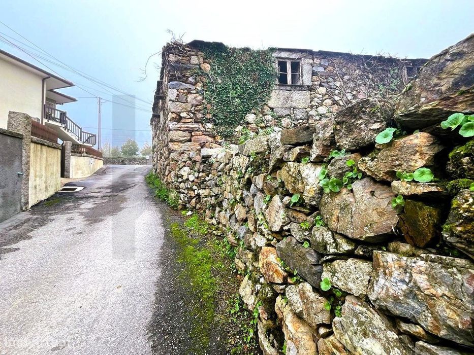 Rio Douro - Moradia em ruína em Carcavelos, Santa Maria de Sardoura