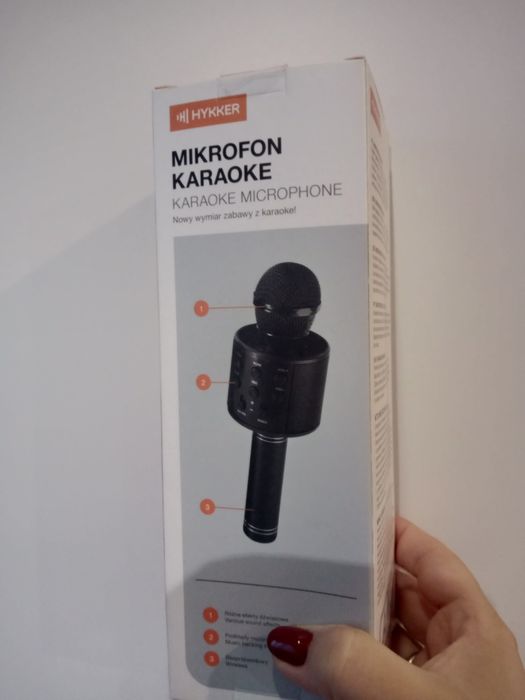 Mikrofon karaoke