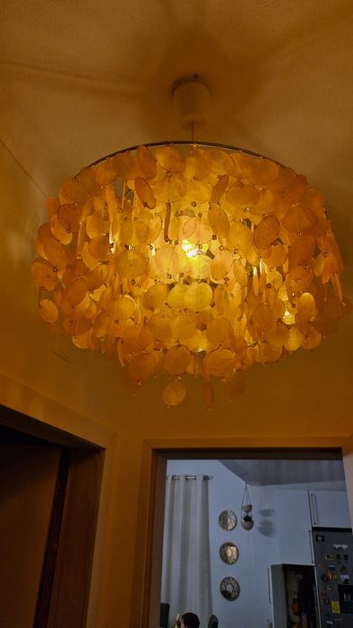 Candeeiro Gato Preto