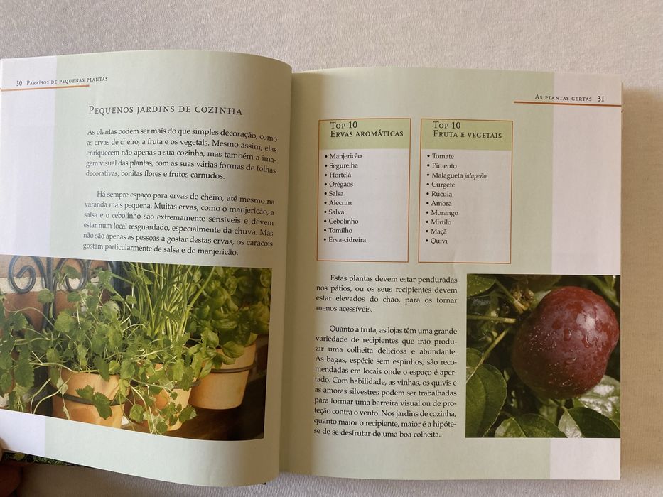 guia das plantas de varanda e do pátio