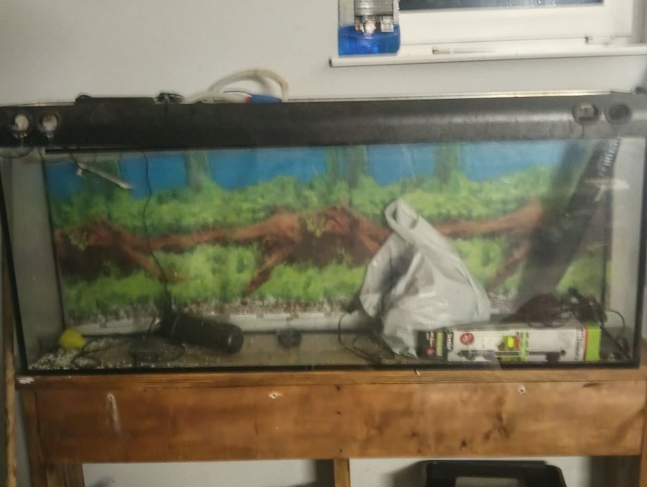 Od dam akwarium 200l