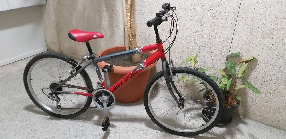 Bicicleta de Passeio