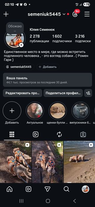 Малюки буллі в типі покет ..АВКС