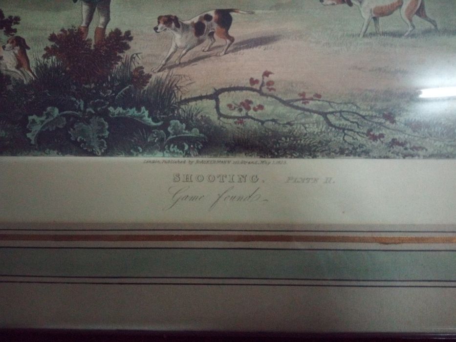 Quadro Shooting Plate II64751003405443121