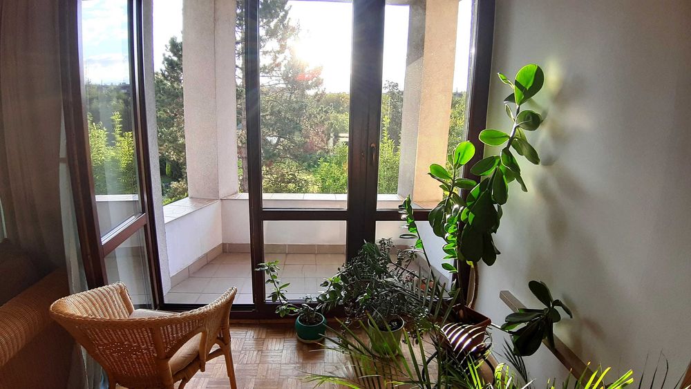 Klimatyczne mieszkanie 3 pokoje z balkonem i ogrodem | 85 m² | Prądnik Biały | 4 min do tramwaju