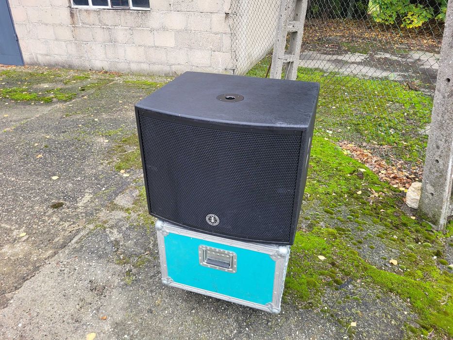 ANT GREENHEAD 18S Aktywny subwoofer 18cali 800 W / 1600W PEAK