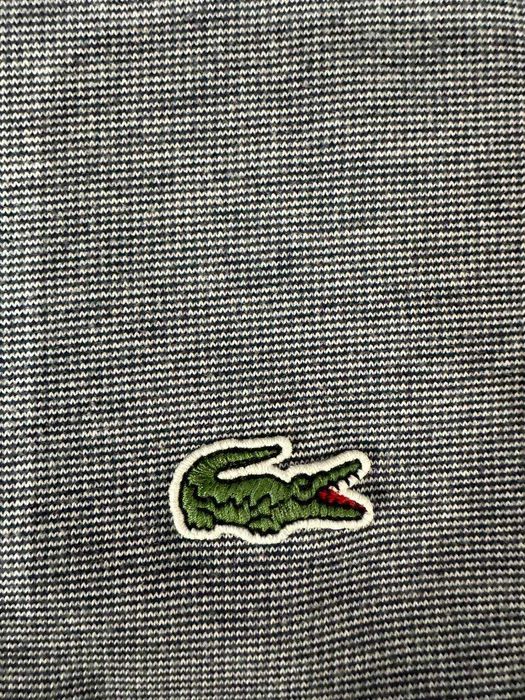 Кофта    Lacoste