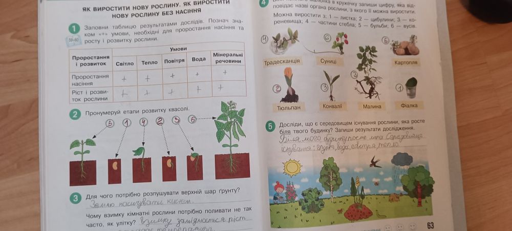 Підручники  Я досліджую світ