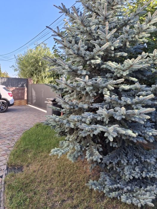 Продаж будинку в Байківцях