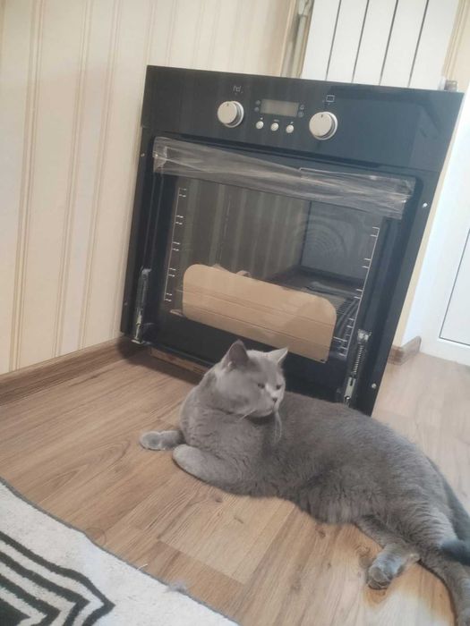 продам духовку срочно