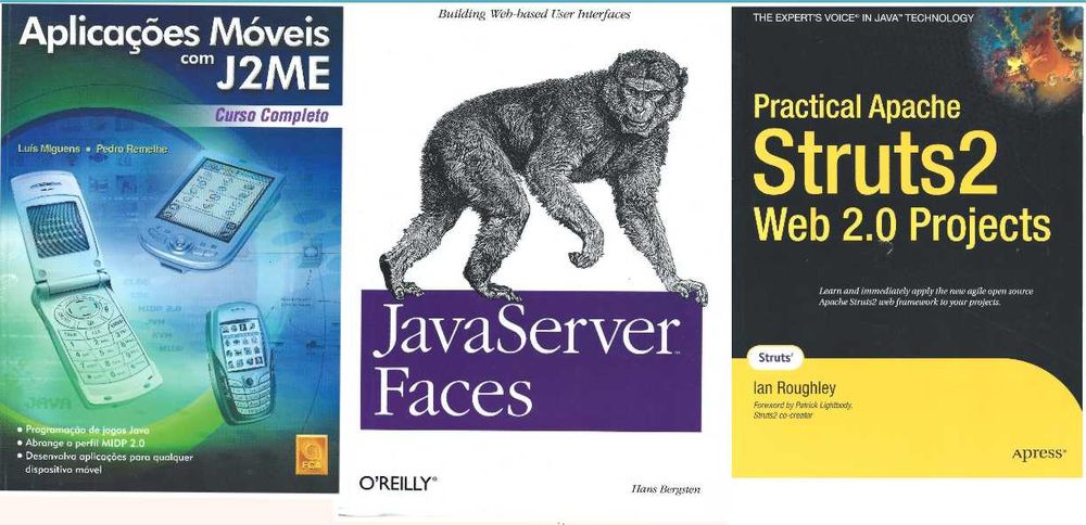 Livros técnicos de informática