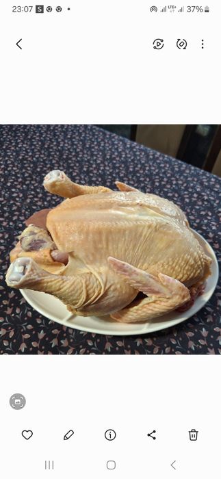 Sprzedam tuszki brojerow