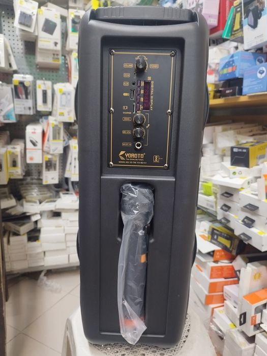 Karaoke Coluna Bluetooth com Microfone sem fio