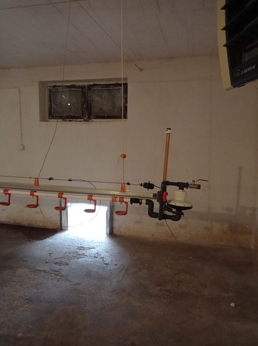 kropelkowe poidła, linia pojenia drobiu