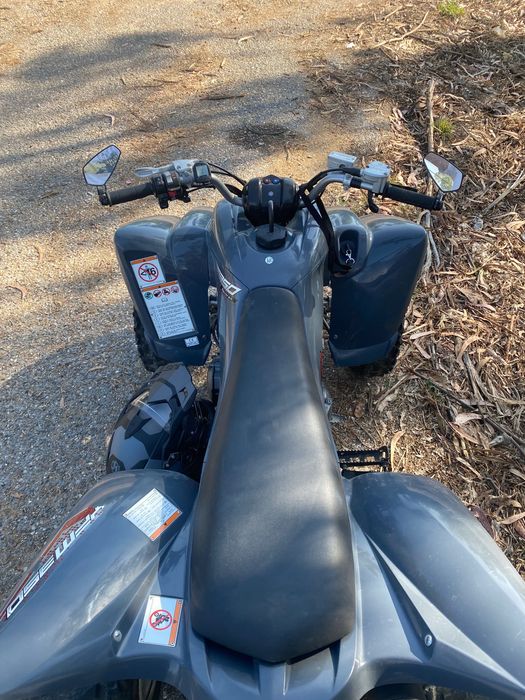 Yamaha YFM 350 Raptor