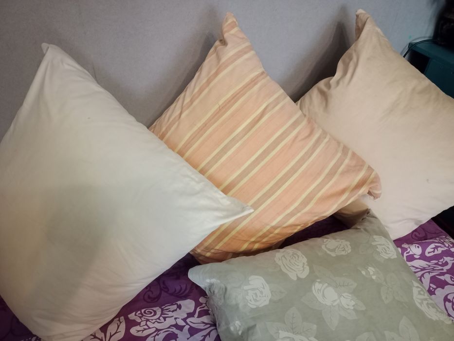 Гусяче пір'я ,скубане,  (3 подушки), вага чиста 6.1 кг  + БОНУС 55*55 з курячим пір'ям