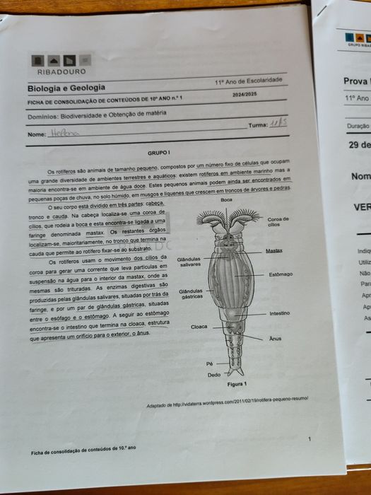 Testes Ribadouro Biologia e Geologia