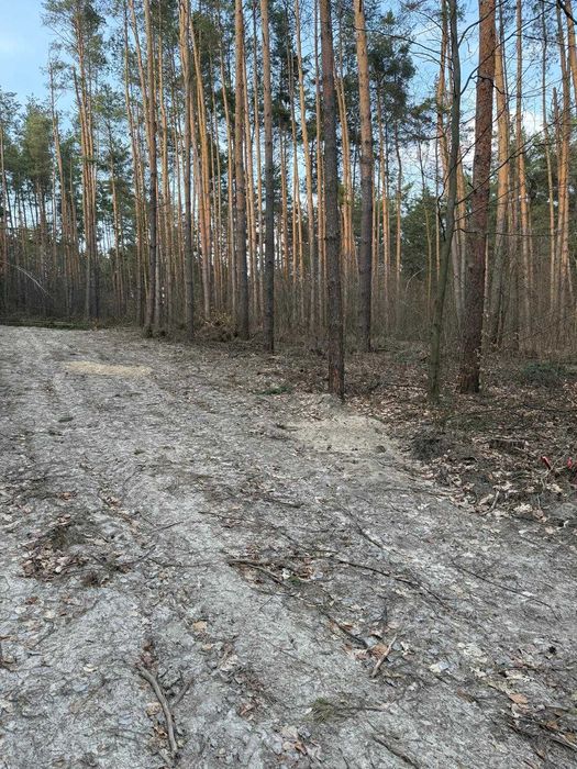 2 Działki rekreac-budowlane 900 i 930 m2 | Roztocze, Krasnobród| Lasy