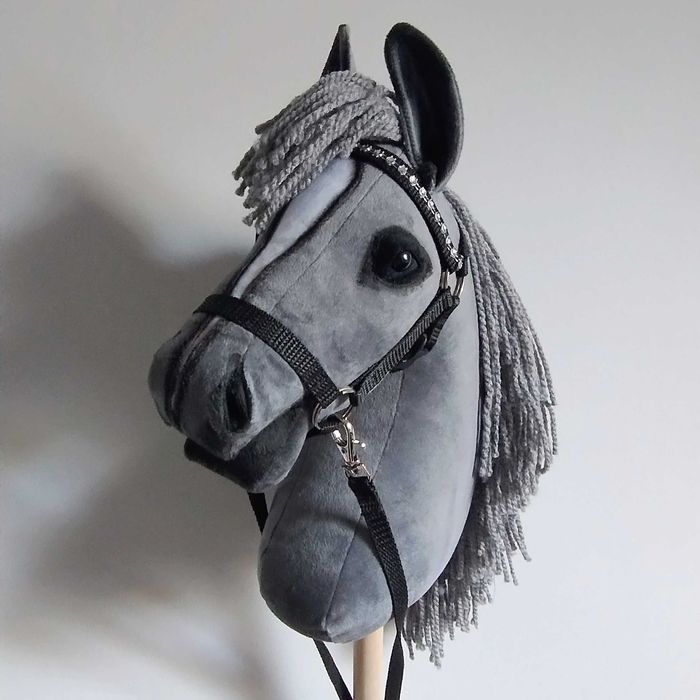 Hobby horse - koń na kiju
