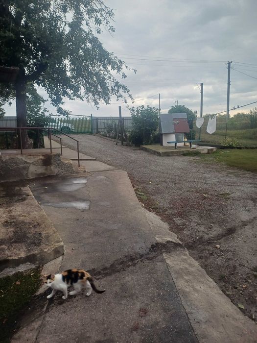 Продам будинок в с.Казарня Кропивницький район