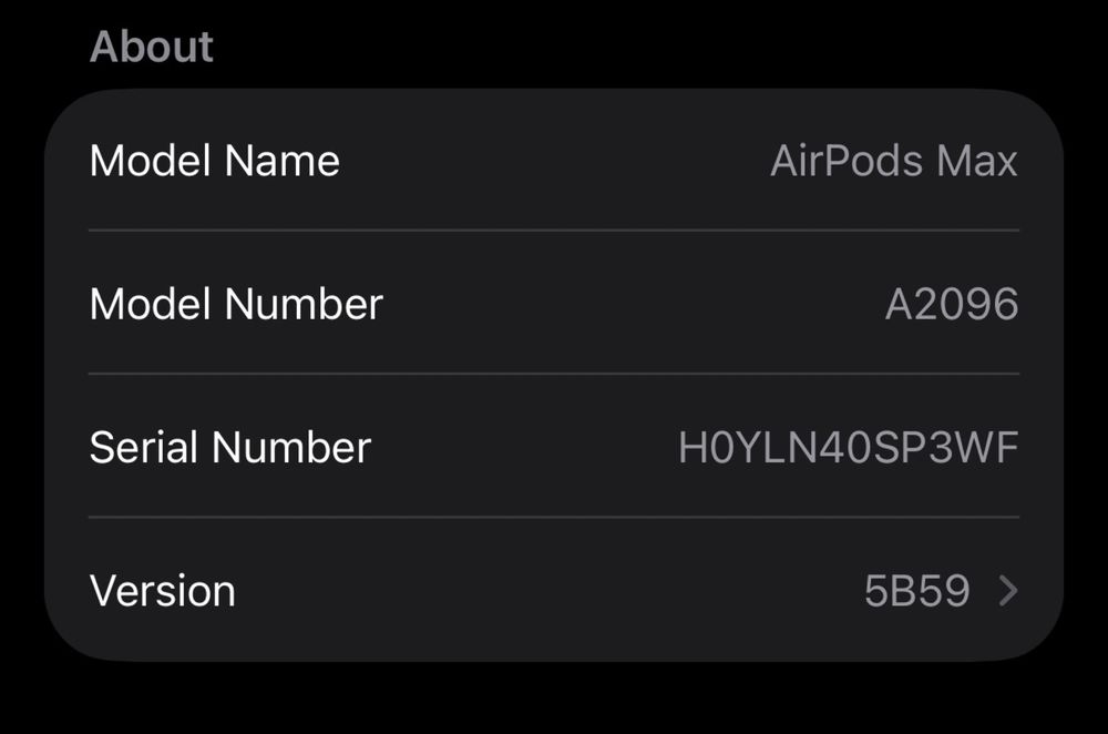 Airpods Max Apple