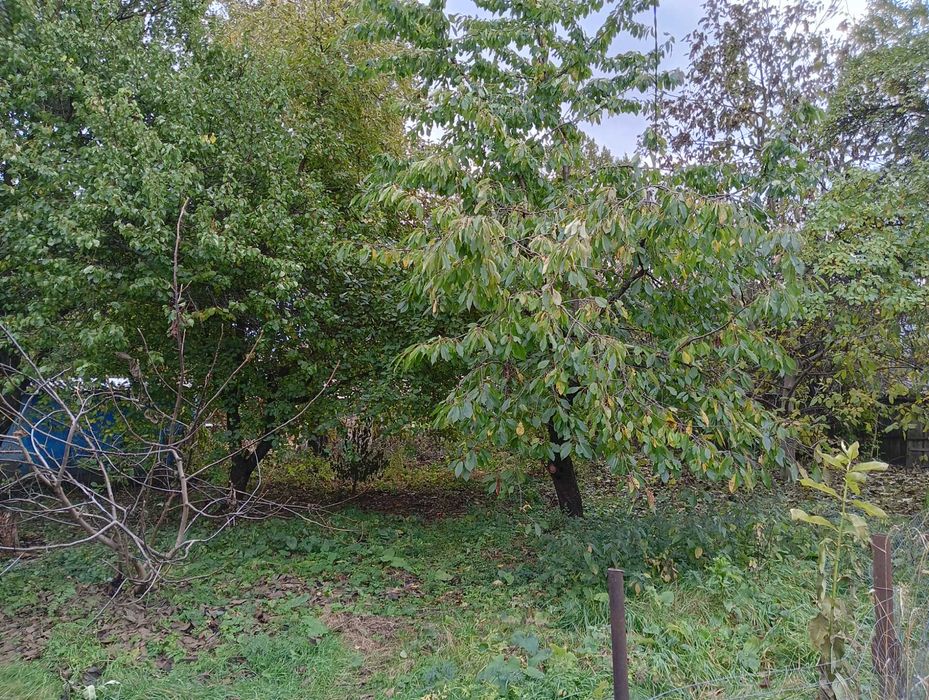 Продам пів будинку (40,4 м2) із наділом (12,5 соток). С. Кобижча