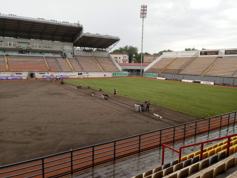 Рулонный газон из первых рук. Прозводители. Реализация по всей Украине