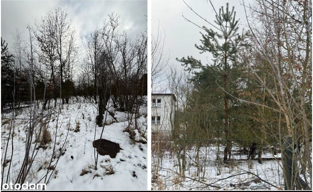 Syndyk udział 4/36 w nieruchomości gruntowej Ruda Śląska, Kochłowicka - Widok 2