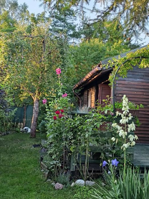 Sprzedam Działkę ROD w Wadągu koło Olsztyna